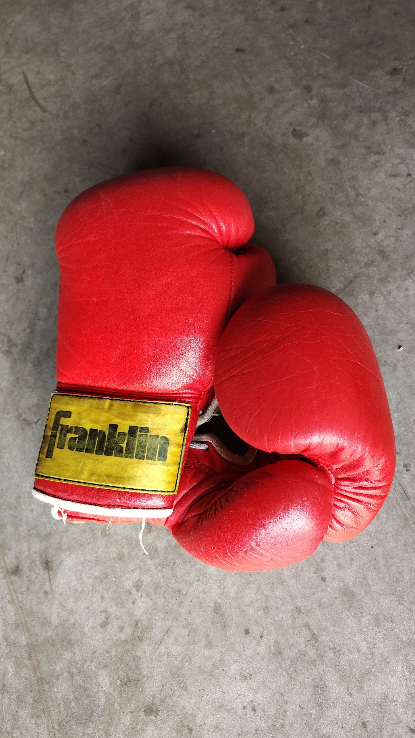 Franklin Boxing Gloves