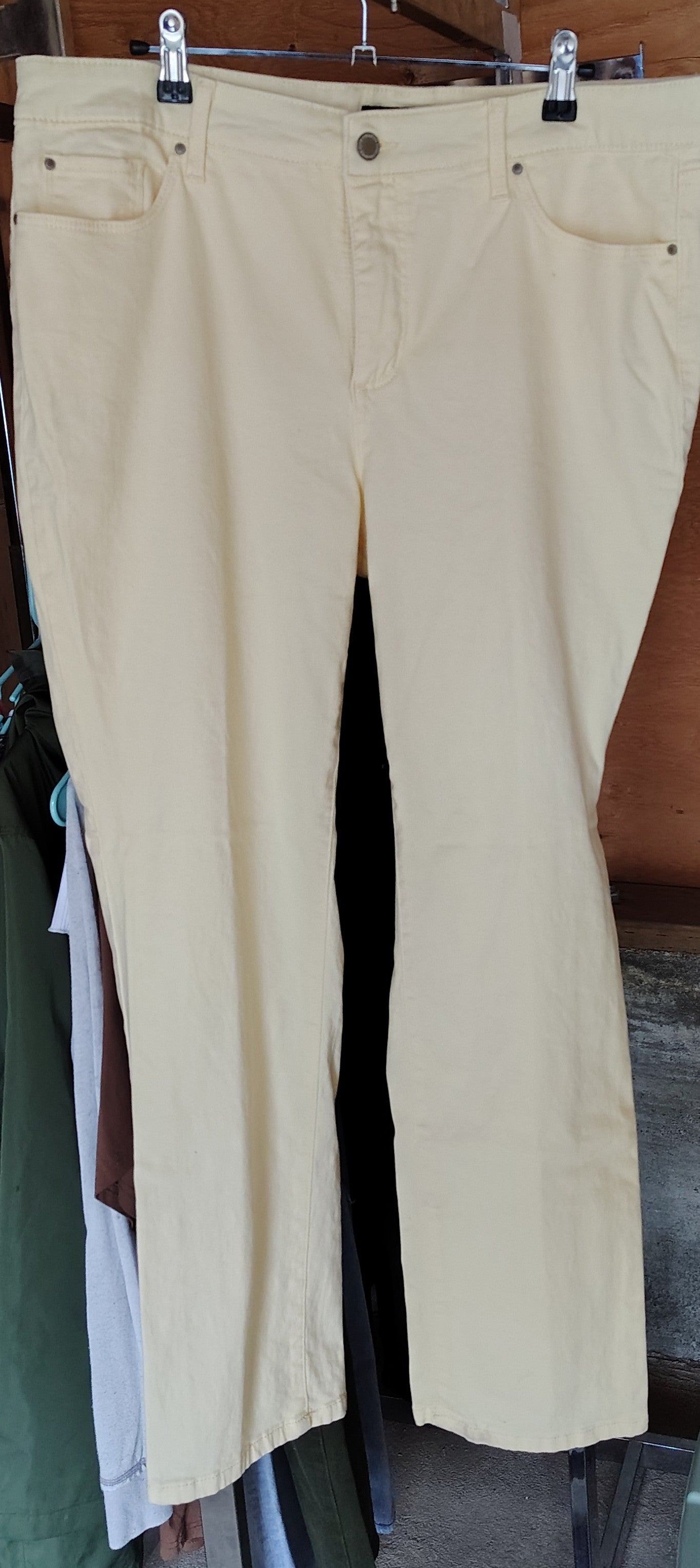 Jeans Women's Size 16P